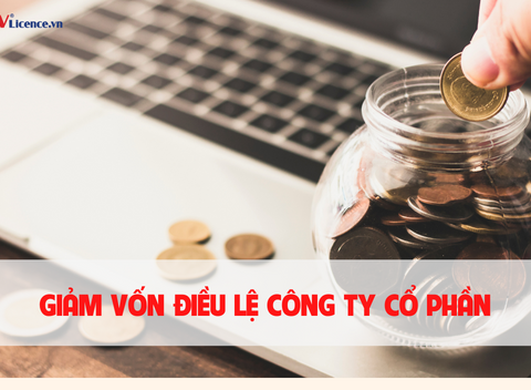 giam-von-dieu-le-cong-ty-co-phan-ntv.png