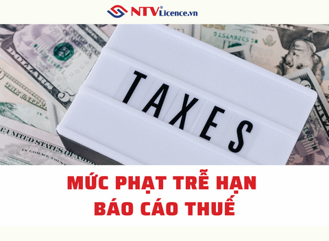 muc-phat-tre-han-bao-cao-ntv