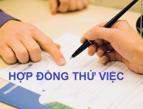 Hợp đồng thử việc có phải là hợp đồng lao động không?