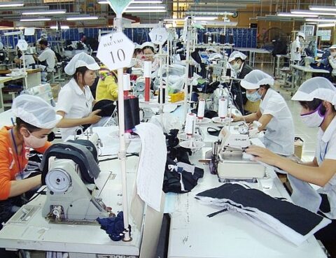 Hướng dẫn tiếp tục kinh doanh trước thời hạn cho công ty TNHH