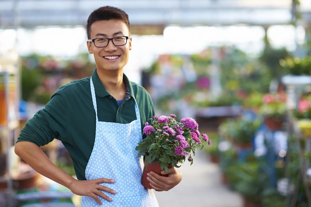 Nên thành lập công ty hay hộ kinh doanh